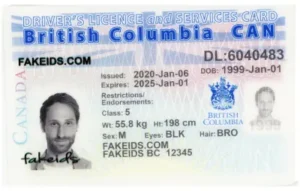 British Columbia Fake ID - Scannable ICBC Licence