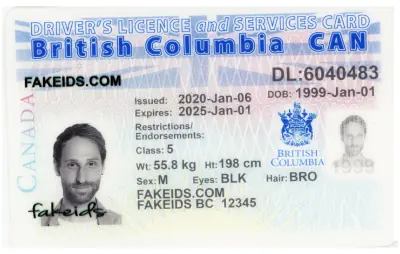 British Columbia Fake ID - Scannable ICBC Licence
