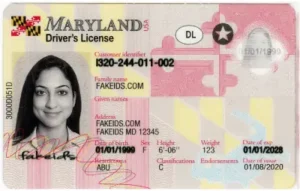Maryland Fake ID - Scannable Teslin and PVC Card